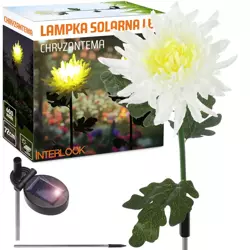 FLD-26-WHITE | Kwiatek solarny | Ogrodowa lampa solarna LED Chryzantema | 72 cm, 600 mAh